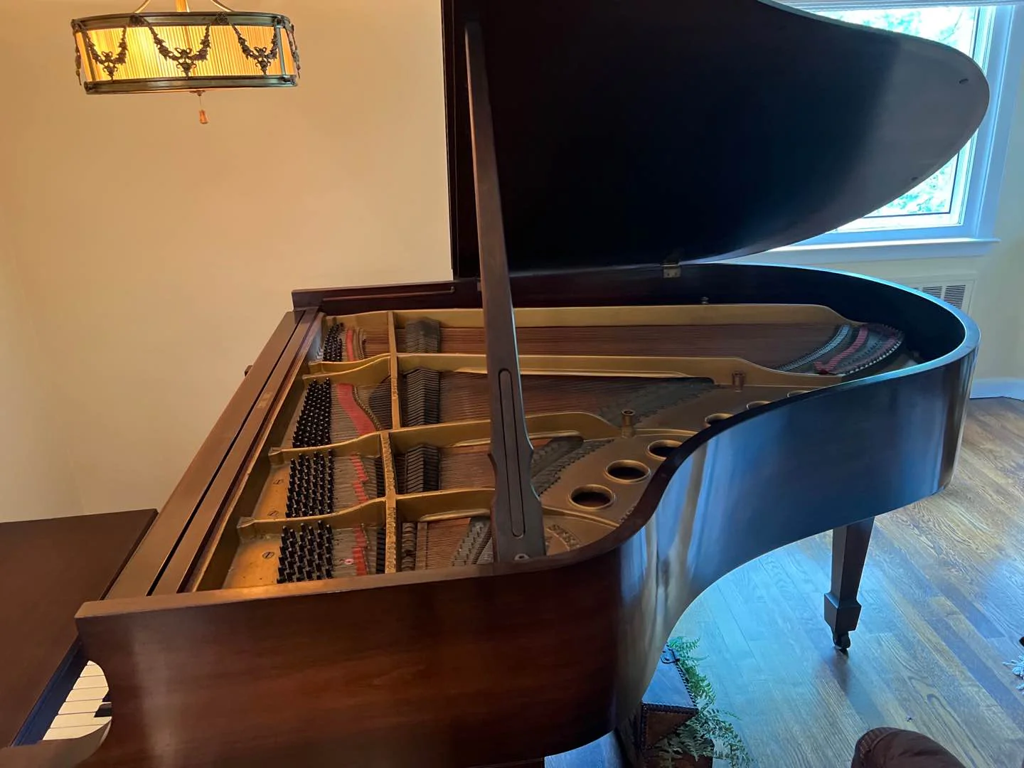 1929 Steinway Model M - Image 2