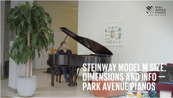 1971 Steinway Model M Grand Piano | Ebony - Image 5