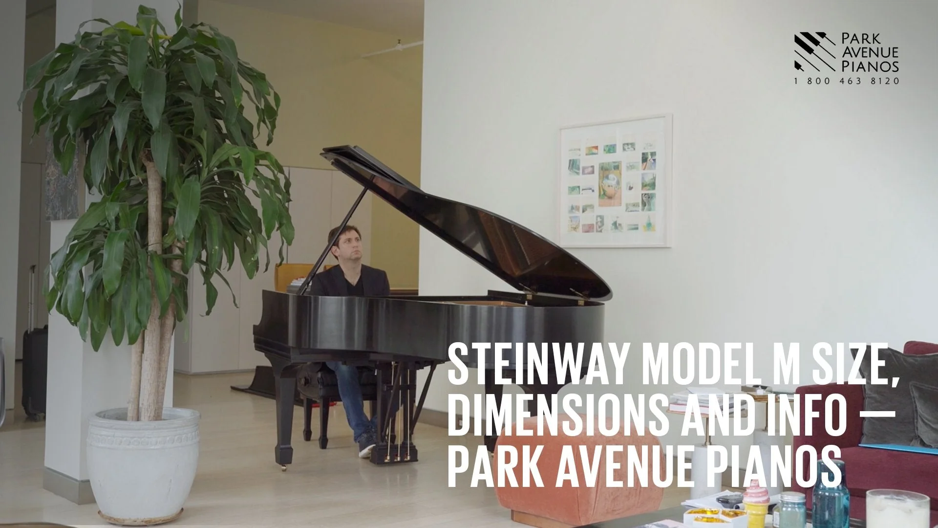 1988 Steinway Model M Grand Piano | French Walnut - Image 5