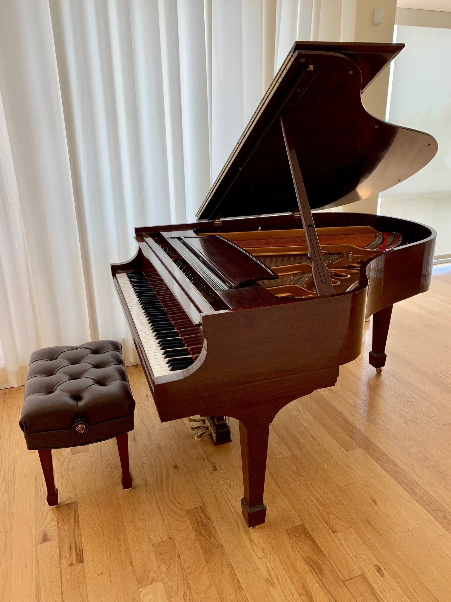 1999 Steinway M Crown Jewel | Mahogany - Image 4