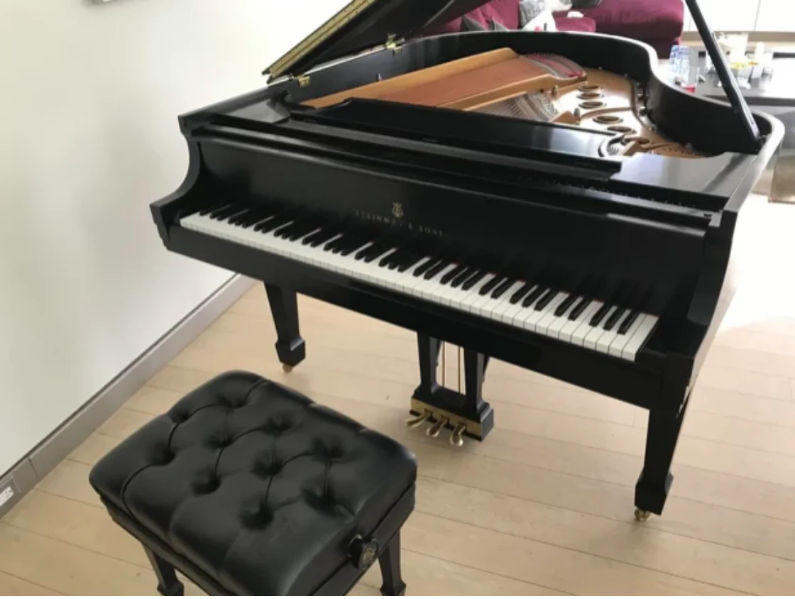 2003 Steinway Model M Grand Piano | Ebony - Image 2