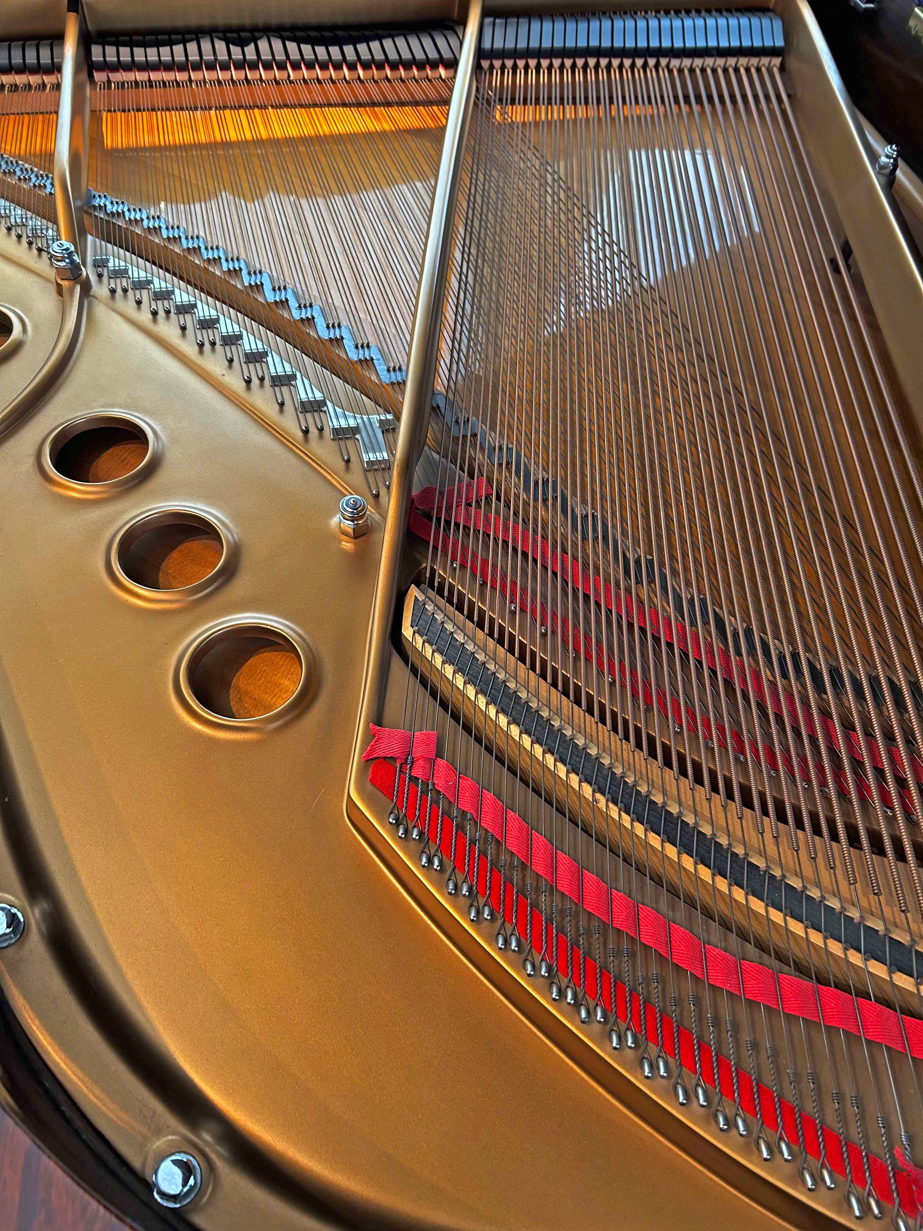 2003 Steinway Model M Louis XV Piano | Sketch 501A | East Indian Rosewood | Crown Jewel Collection - Image 4