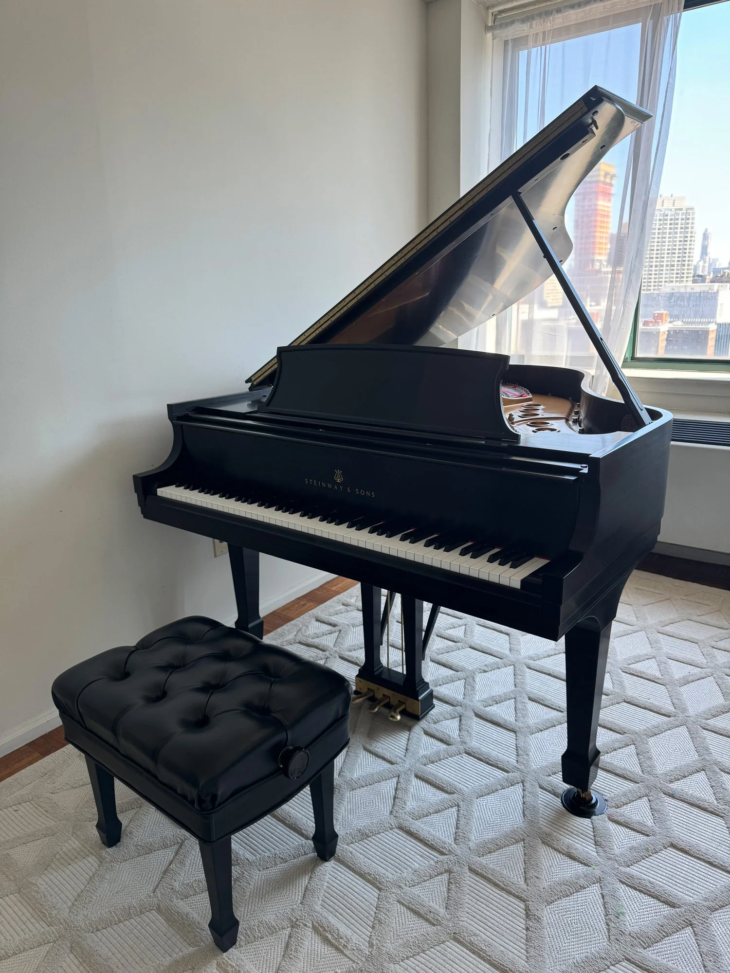 2005 Steinway Model M | 150th Anniversary with Steinway Signature | Ebony - Image 2