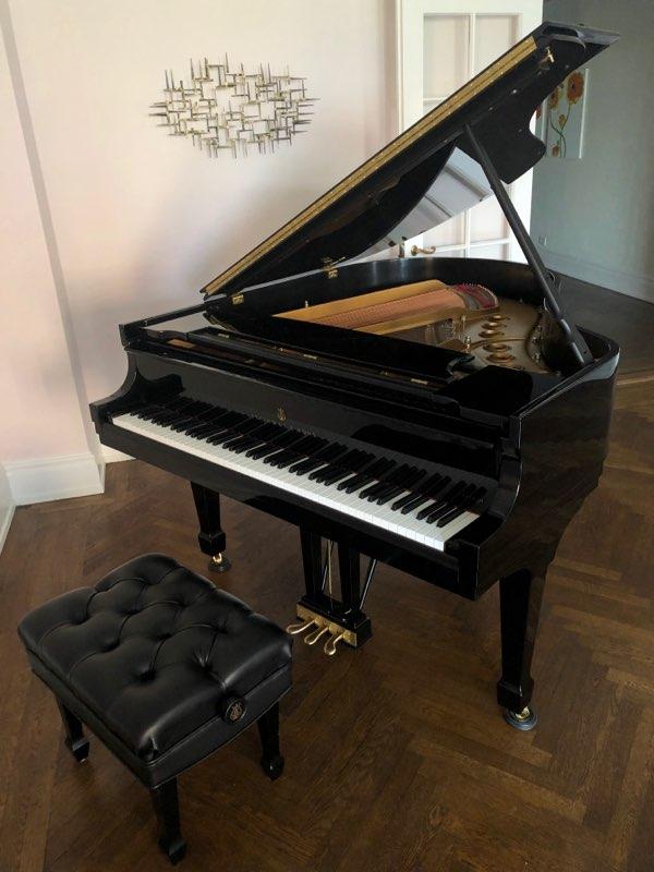 2017 Steinway Model M Spirio Grand Piano - Image 4