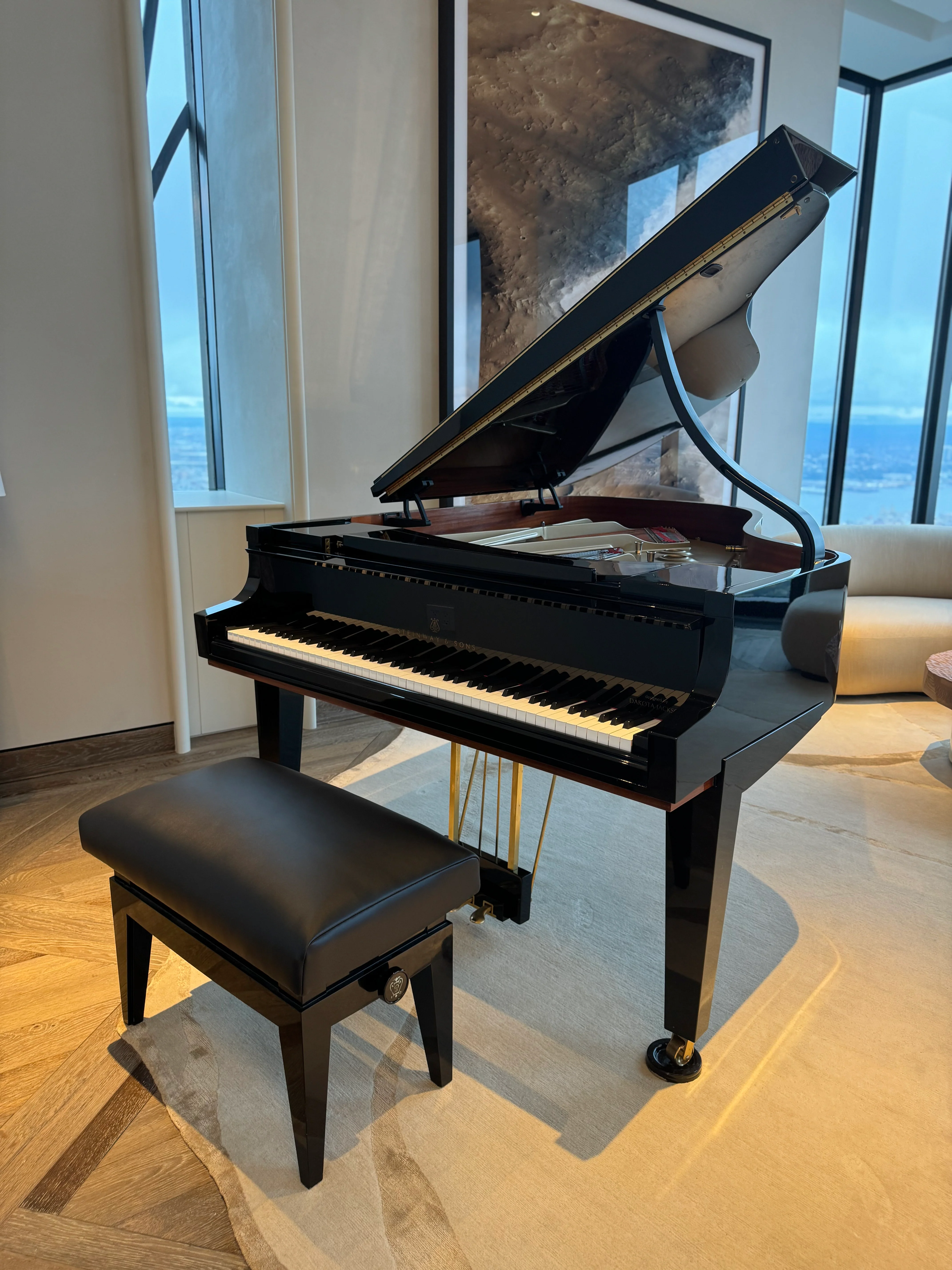 Hamburg Steinway Model A Piano | Dakota Jackson Tricentennial Extremely Limited Edition - Image 3