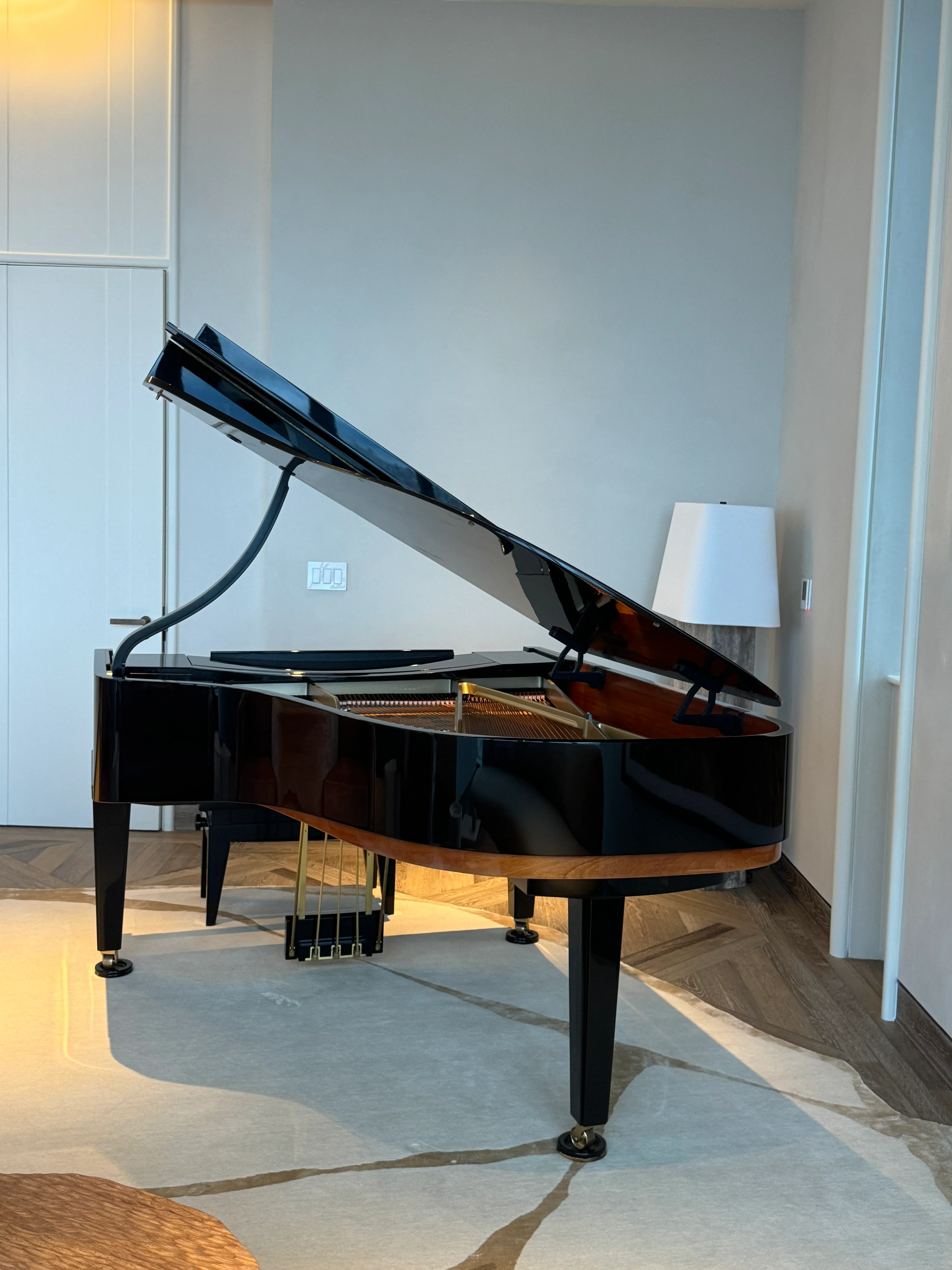 Hamburg Steinway Model A Piano | Dakota Jackson Tricentennial Extremely Limited Edition - Image 6