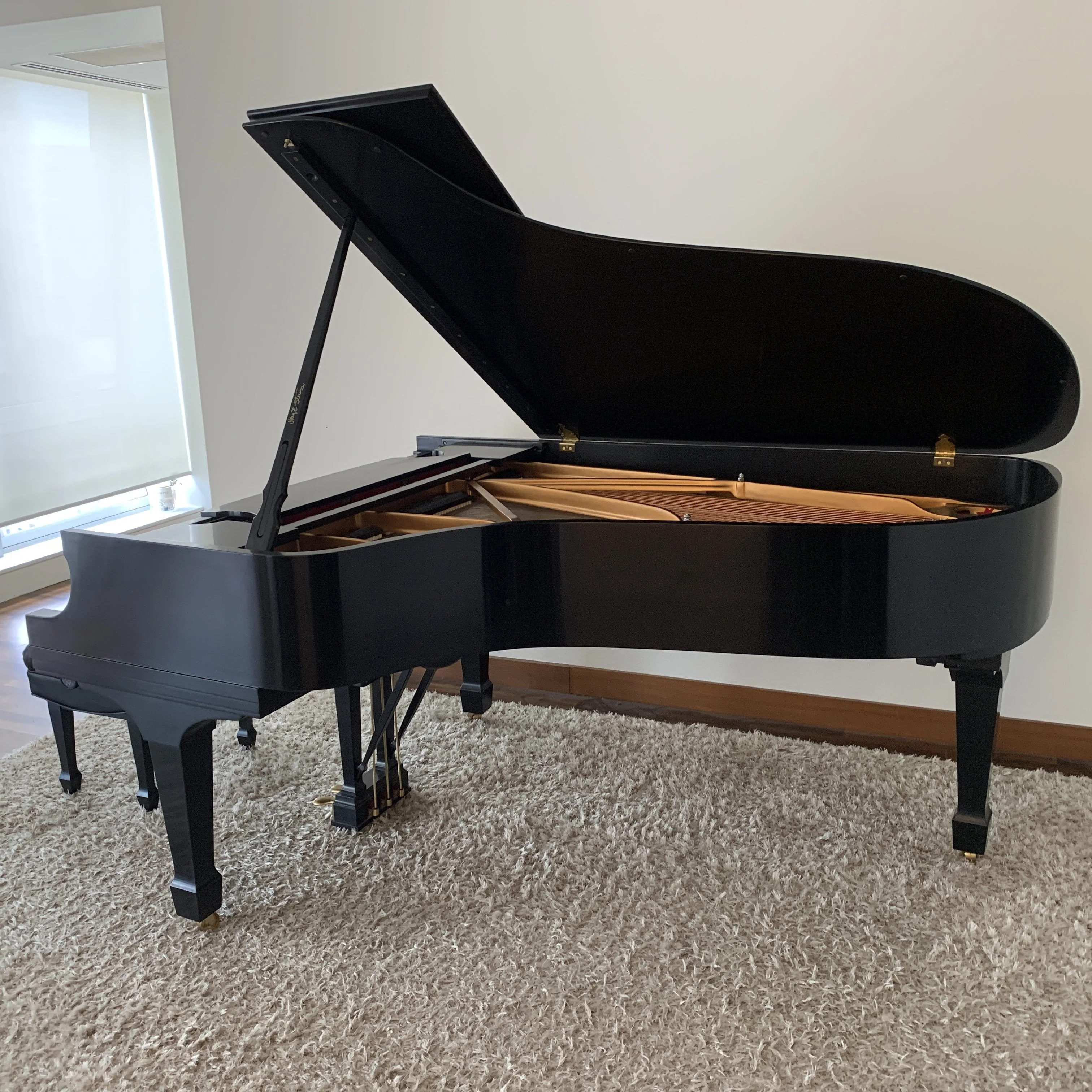 Used Steinway Model B Piano Anniversary Edition 2003, Purchased New in 2004 - Image 2