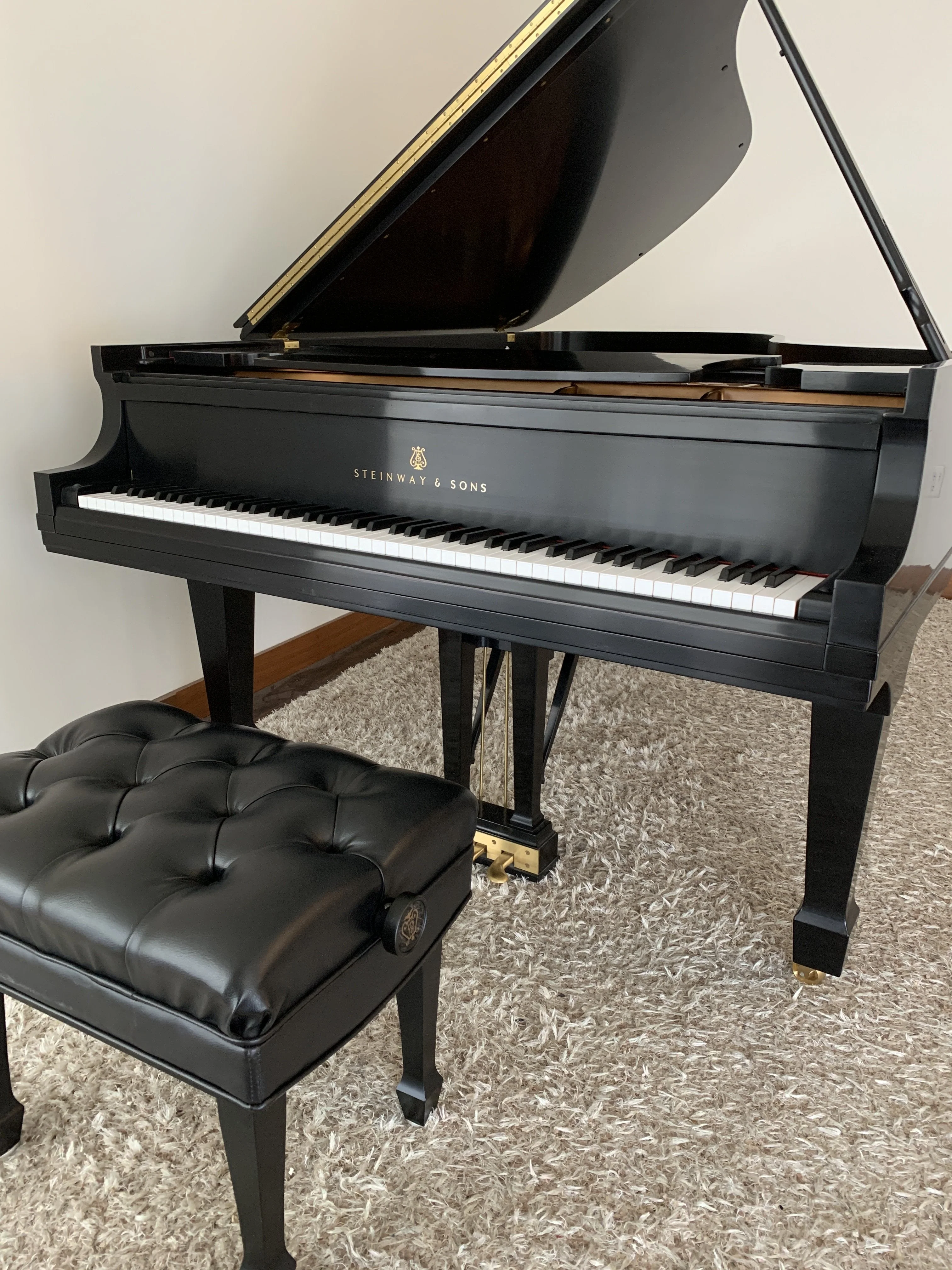 Used Steinway Model B Piano Anniversary Edition 2003, Purchased New in 2004 - Image 4