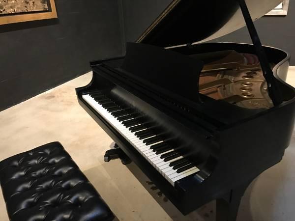 Steinway Model M Grand Piano 1980 (Miami,FL) - Image 3