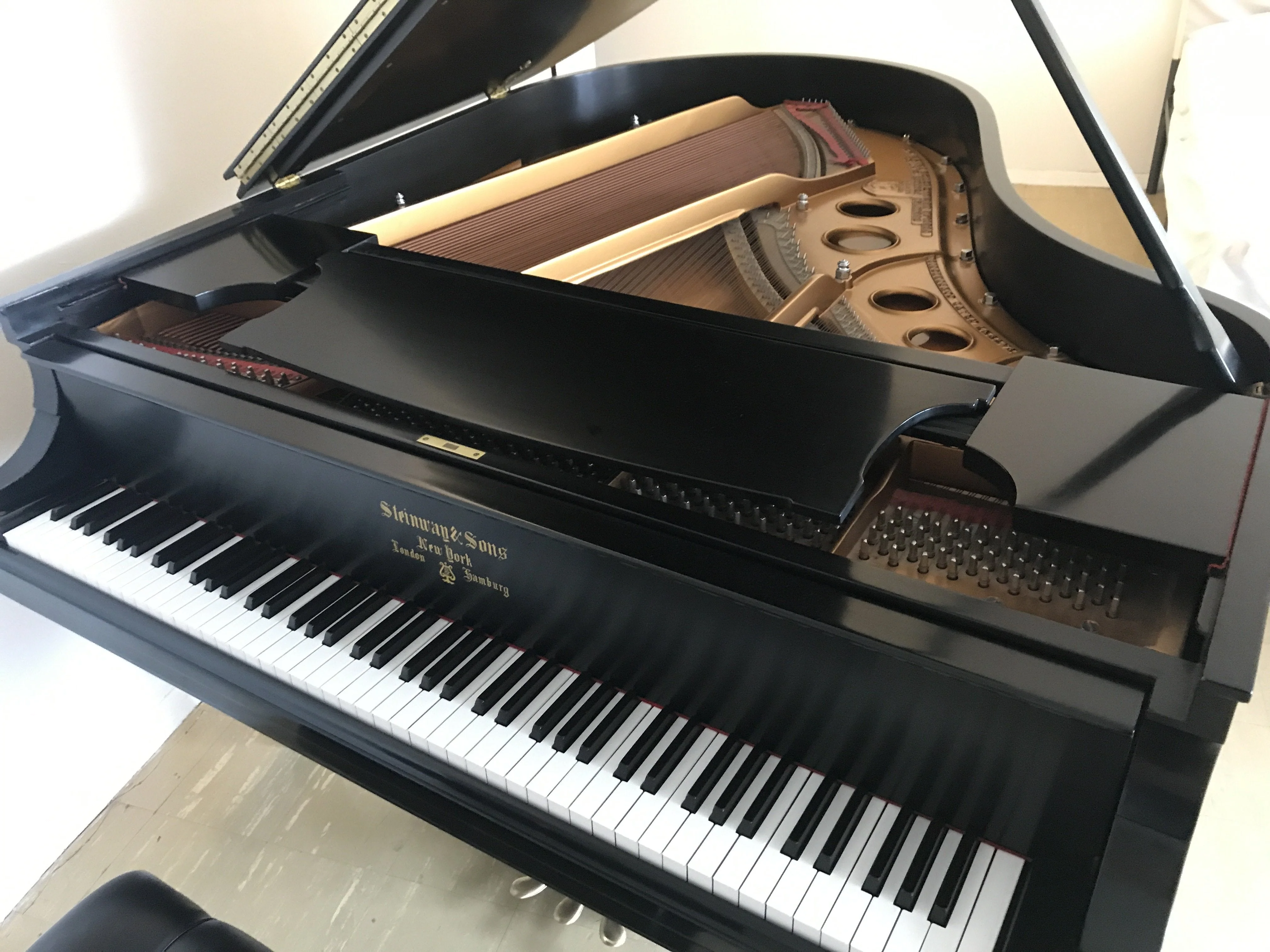 Steinway Model O Grand Piano | Ebony | Certified Rebuild at the Steinway Factory - Image 7